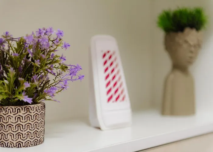 New Luxury Center * Bucureşti